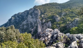 SENDERO ALGODONALES-LOS NACIMIENTOS