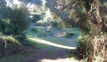 SENDERO SEÑALIZADO ARROYO MONDRAGÓN