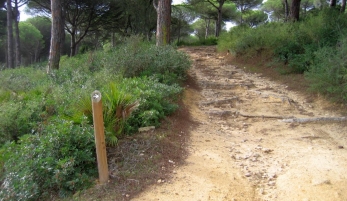 SENDERO CAÑOS - TORRE DE MECA