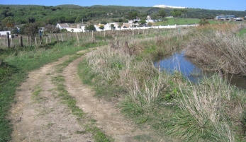 SENDERO SEÑALIZADO MARISMAS DEL BARBATE