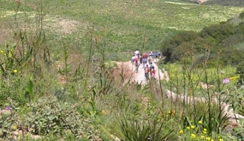 EL CORREDOR VERDE DOS BAHÍAS