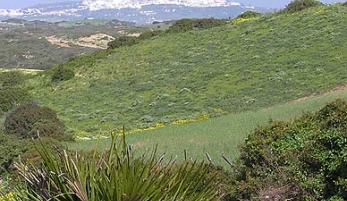 TRAMO I: de Puerto Real a Medina Sidonia