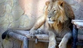 ZOO_JEREZ