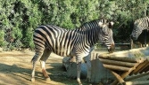 ZOO_JEREZ