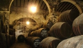 Galeria oficial BODEGA DE MORA (OSBORNE)