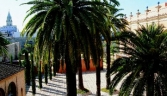 Galeria oficial CONJUNTO DEL ALCÁZAR DE JEREZ