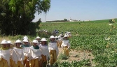 Galeria oficial MUSEO DE LA MIEL Y LAS ABEJAS