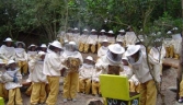 Galeria oficial MUSEO DE LA MIEL Y LAS ABEJAS