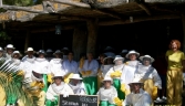 Galeria oficial MUSEO DE LA MIEL Y LAS ABEJAS