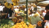 Galeria oficial MERCADO DE ABASTOS INGENIERO TORROJA