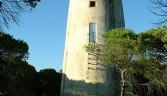 Galeria oficial TORRE ALMENARA DE MECA