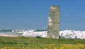 Galeria oficial TORRE DE CASTILNOVO