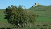 Galeria oficial CASTILLO DE TORRE ESTRELLA