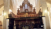 Galeria oficial IGLESIA  MAYOR DE SANTA MARÍA LA CORONADA