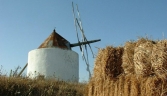 Galeria oficial MOLINOS DE VIENTO DE SAN MIGUEL