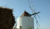 Galeria oficial MOLINOS DE VIENTO DE SAN MIGUEL