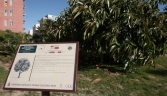 Galería Oficial_PARQUE CELESTINO MUTIS