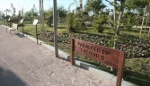 Galería Oficial_PARQUE CELESTINO MUTIS