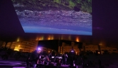 Galería Oficial_PARQUE CELESTINO MUTIS