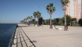 Galería Oficial_PARQUE CELESTINO MUTIS