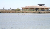 SALINAS DE CHICLANA