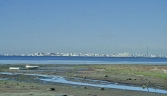 Galeria oficial PARQUE NATURAL DE LA BAHÍA DE CÁDIZ