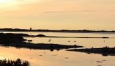 Galeria oficial PARQUE NATURAL DE LA BAHÍA DE CÁDIZ