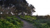 Galeria oficial PARQUE NATURAL DE LA BAHÍA DE CÁDIZ