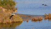 Galeria oficial PARQUE NATURAL DE LA BAHÍA DE CÁDIZ