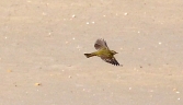 Galeria oficial PARQUE NATURAL DE LA BAHÍA DE CÁDIZ