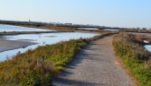 Galeria oficial PARQUE NATURAL DE LA BAHÍA DE CÁDIZ