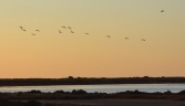 Galeria oficial PARQUE NATURAL DE LA BAHÍA DE CÁDIZ