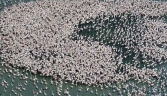 Galeria oficial PARQUE NATURAL DE DOÑANA