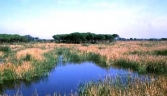 Galeria oficial PARQUE NATURAL DE DOÑANA