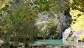 Galeria oficial PARQUE NATURAL SIERRA DE GRAZALEMA