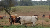 RUTA_medina sidonia - pantano del celemin