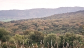 RUTA_montera del torero - los barrios