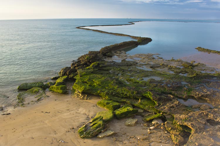 CORRALES DE PESCA DE CHIPIONA